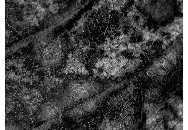 BPMoore - Galvanised (Spotify) Nagamag