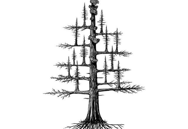 Collective - Aftermath (Spotify) Nagamag