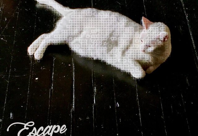 Escape Tones - Regrets (Spotify) Nagamag