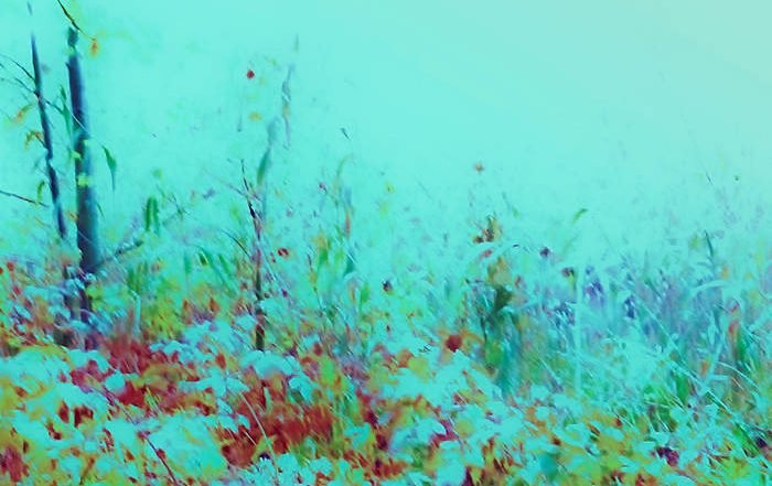 Hardcore Buddhist - Funky Psychedelia (Bandcamp)