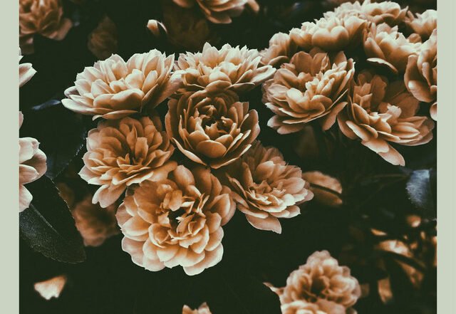 Jakspin - Aquarius (Spotify) Nagamag