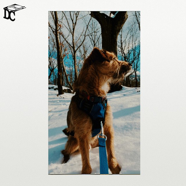 Lightfoot - The Relapse (Spotify) Nagamag