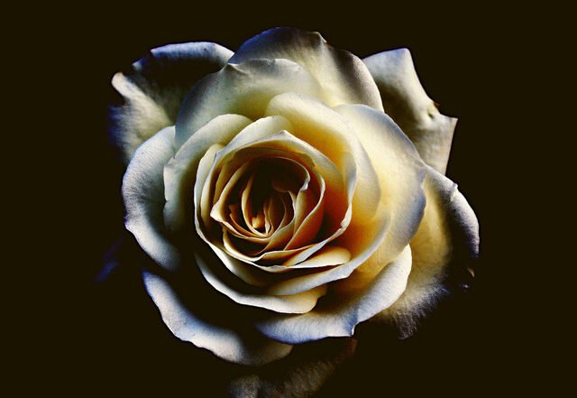 Moshi - Here, Always (Spotify) Nagamag