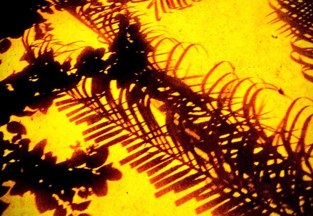 tiny.blips - Pizzle (Spotify) Nagamag