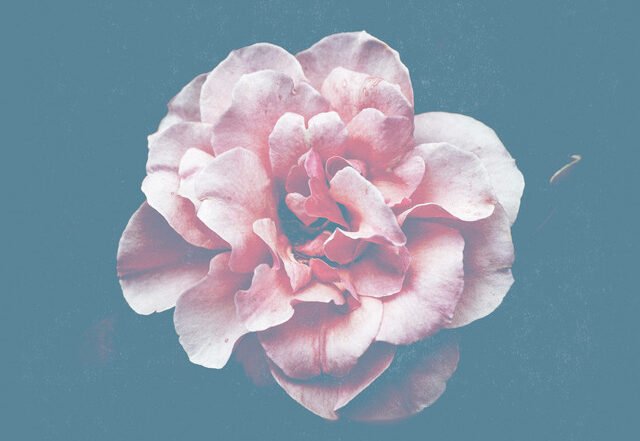 Traveler CS - An Empty House (Spotify) Nagamag