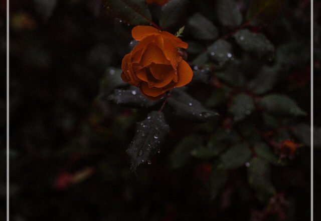 v e n n, Andy Feldman - over (prelude) (Spotify) Nagamag