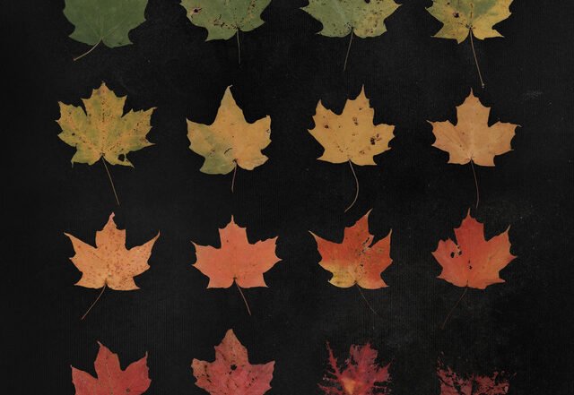 Wide Waters - Tundra (Spotify) Nagamag