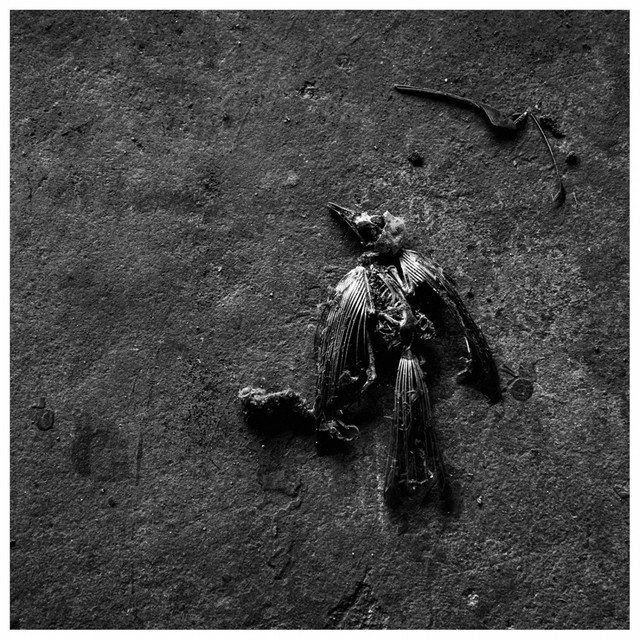 Hellbach – Allein in deinem Himmel (Spotify)