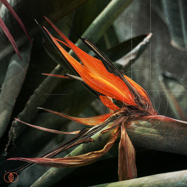 Hopeful Child - The Return To The Garden (Spotify) Nagamag