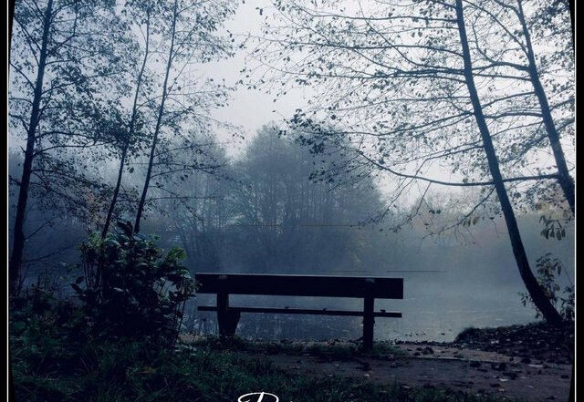 J. Raúl Andreo - Romance in the Garden (Spotify) Nagamag