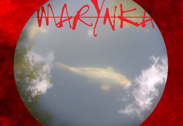 Marynka - Swan Cloud (Spotify) Nagamag