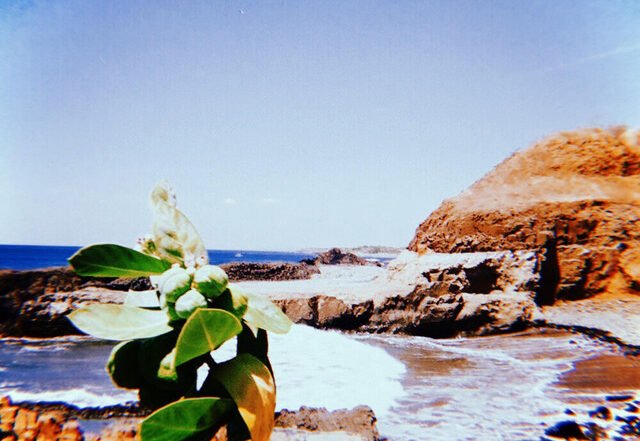 Mellow Mystic - Journey to Ixtlan (Spotify) Nagamag