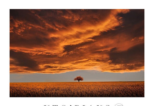 Rebecca Jean Rossi - Stella Alpina (Spotify) Nagamag