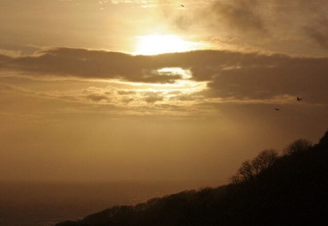 Steven D Griffiths - Flying Away (Spotify) Nagamag