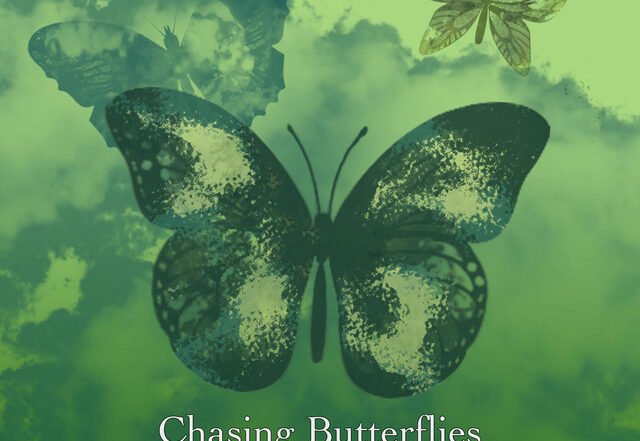 Tommi Salomaa - Chasing Butterflies (Spotify) Nagamag