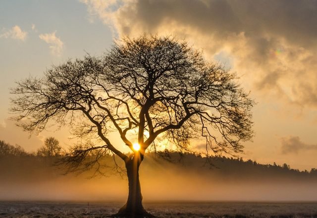 Berintz - Kevoli, Story of a Life (Spotify) Nagamag