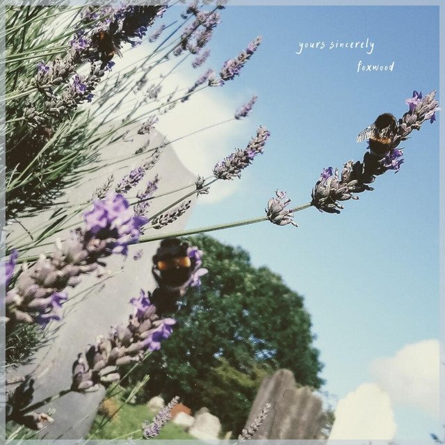 Foxwood – Bramble Cottage (Spotify)