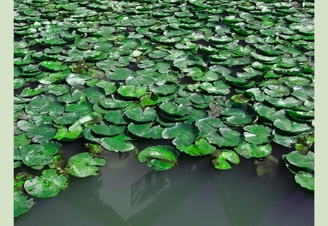 Jakspin - Four (Spotify) Nagamag