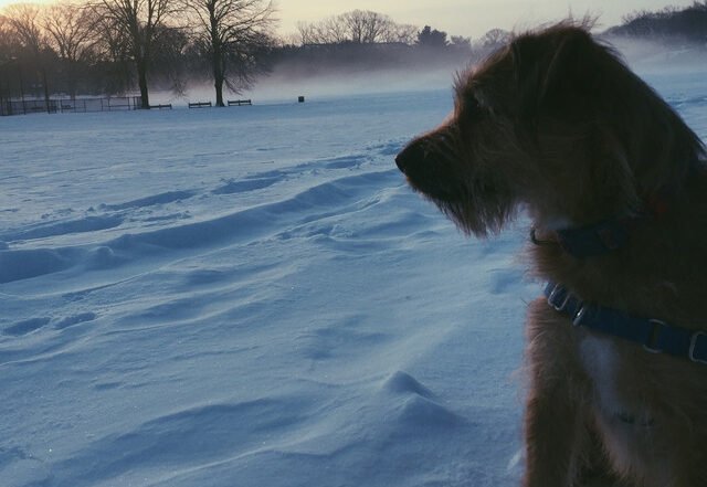 Lightfoot - True Colors (Spotify) Nagamag