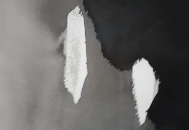 Michel Haspeslagh, Otto Mitch - Etude for Ernest (Spotify) Nagamag