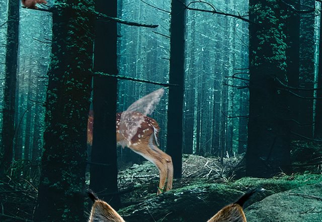 Per Störby Jutbring - The Lynx, The Fawn, The Squirrel (Spotify) Nagamag