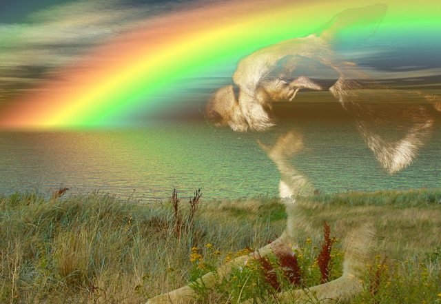 Andrea Sertori - The Rainbow Bridge (Spotify) Nagamag