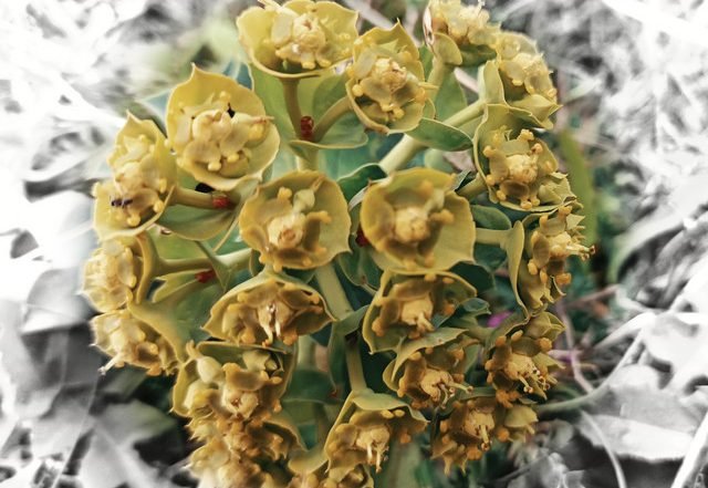 Gregory Paul Mineeff, Kerensa Stephens - A New Gesture - Ghost Forests Version (Spotify) Nagamag