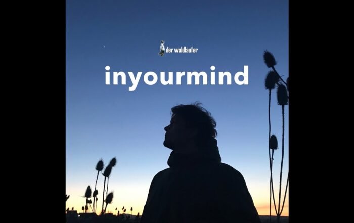 DER WALDLÄUFER feat. BAOBAO | INYOURMIND - Ambient | Chillout | Mindfulness | Relaxation | Chill (Video) Nagamag