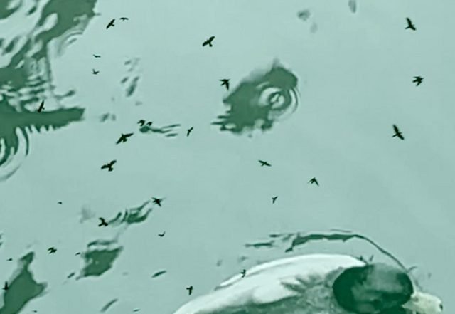 Euclid's Niece - It Is Time (Piano) (Spotify) Nagamag