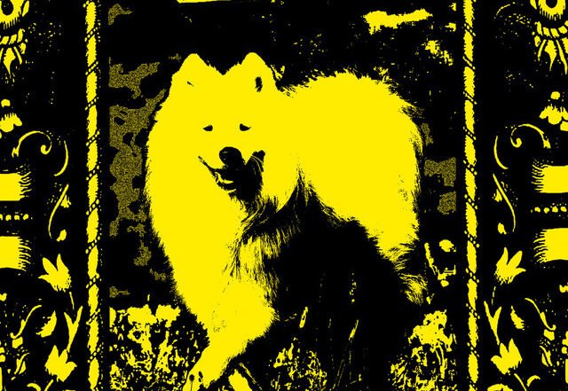 Lugovskiy - LEAVE ME (Spotify) Nagamag