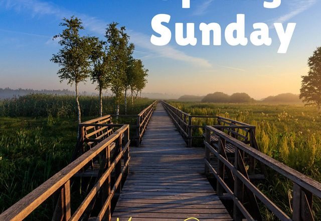 Mattia Greggio - Spring Sunday (Spotify) Nagamag