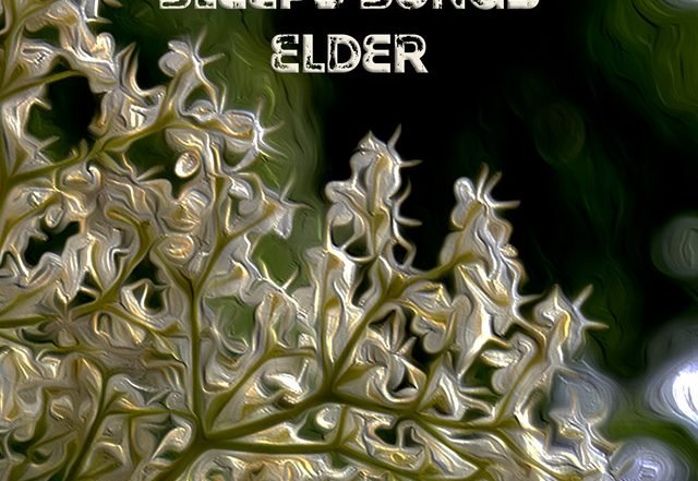 Rikard Mathisson, Johan Eckman, Sleepy Songs - Elder (Spotify) Nagamag