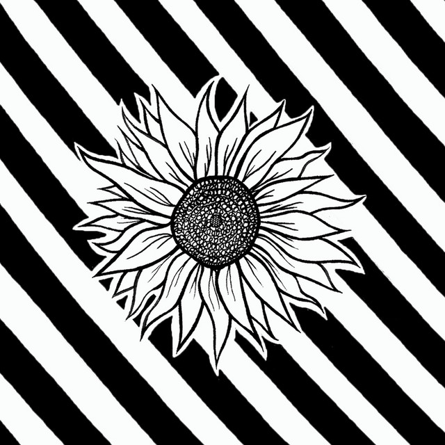 Elijah Newkirk – Sunflower Syndrome. (Spotify)