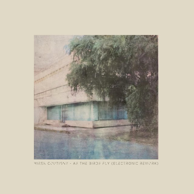 Mirek Coutigny, Jonathan Bonny - As the Birds Fly (Electronic Rework) [feat. Jonathan Bonny] (Spotify) Nagamag