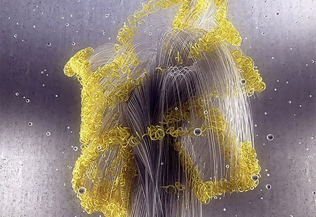 Phoria - Current (Spotify) Nagamag