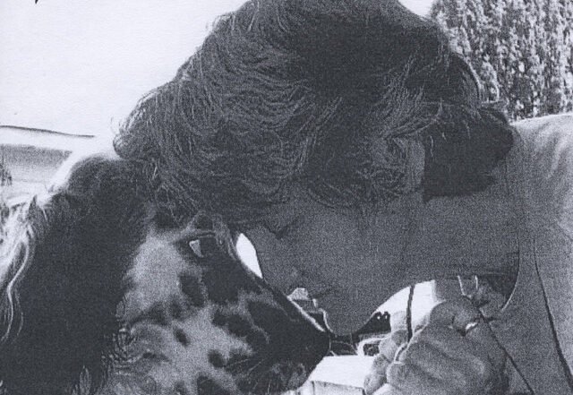 Sharman - We're Not Together Anymore (Spotify) Nagamag