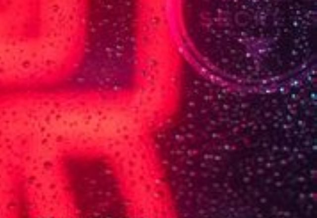 Trade Secrets - Burning Daylight (Spotify) Nagamag