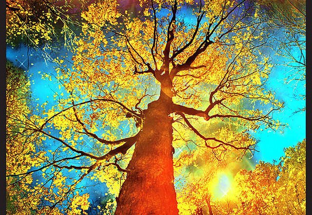 Urban Gypsies Quartet - The Prophet (Spotify) Nagamag