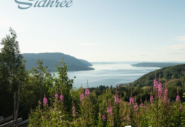 Wallace Sidhrée - Transformation (Spotify) Nagamag