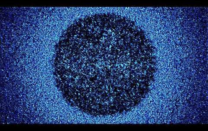 2 Dialogue - Shadow's Jungle ( VISUAL VIDEO) (Video) Nagamag