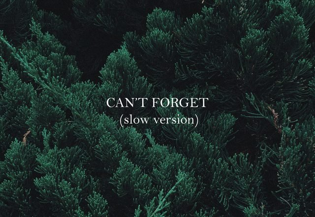 Alice Green - Can't Forget - Slow Version (Spotify) Nagamag