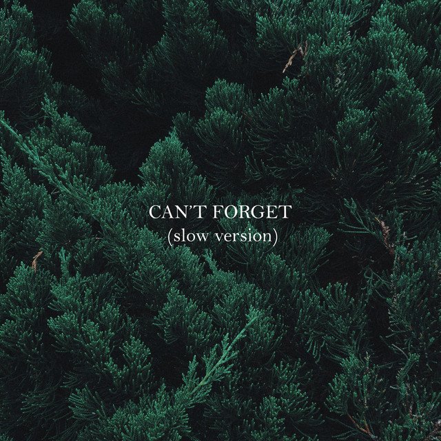 Alice Green - Can't Forget - Slow Version (Spotify) Nagamag