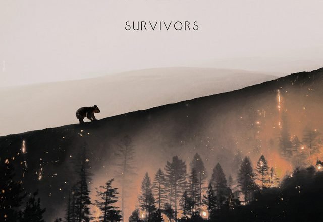 Francois Mathian, Fransoafran - Survivors (Spotify) Nagamag