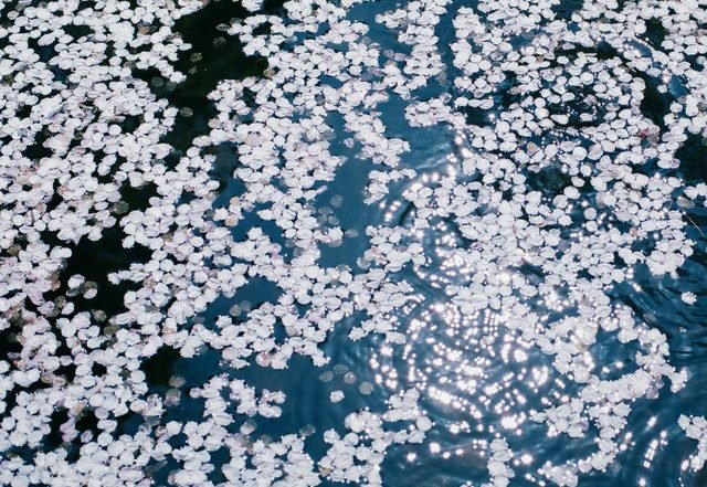 Hideyuki Hashimoto - choral (Spotify) Nagamag