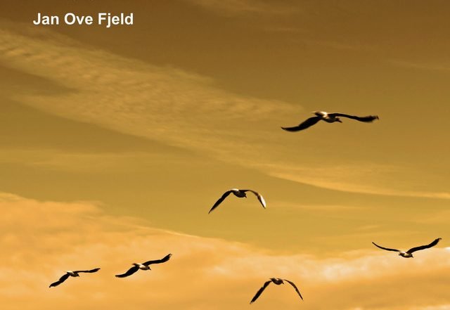 Jan Ove Fjeld - Sky Divine (Spotify) Nagamag