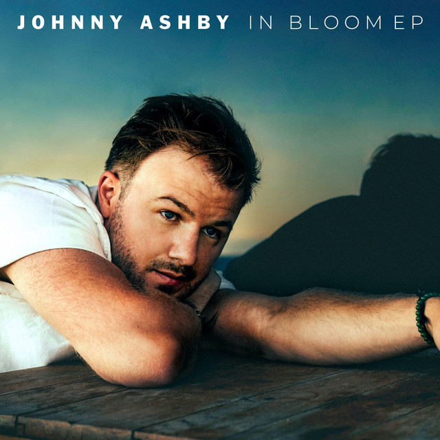 Johnny Ashby – Never Let You Go (Spotify)