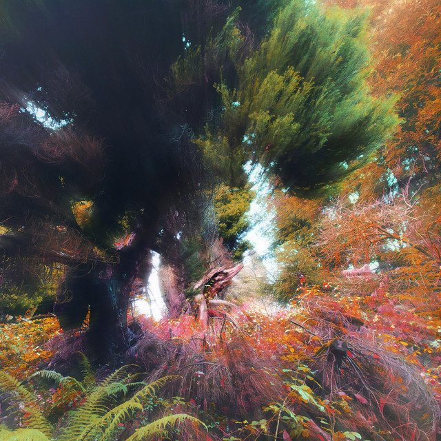 Emiji – Adventures (Spotify)