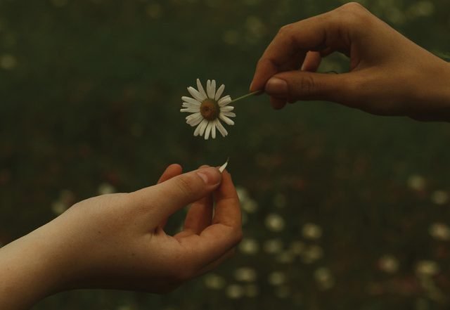 Goldmund - For a Time (Spotify) Nagamag