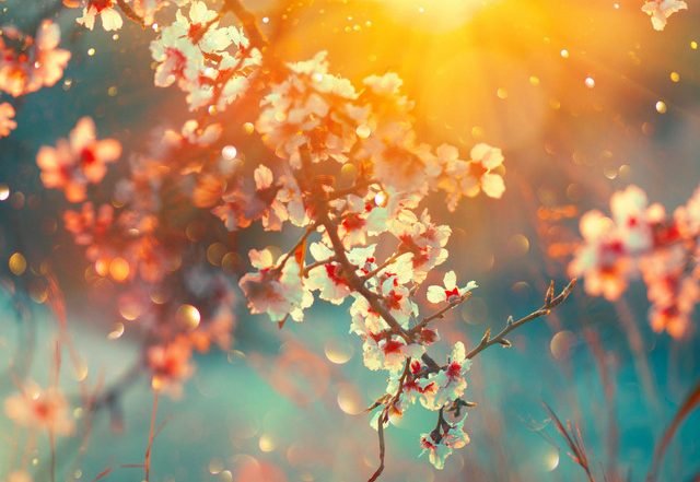 Rikard Mathisson - Scintillant (Spotify) Nagamag