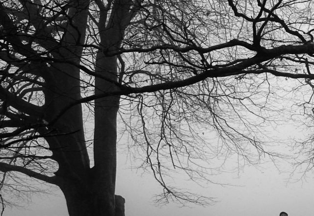 Toby Bligh - I Am (Spotify) Nagamag